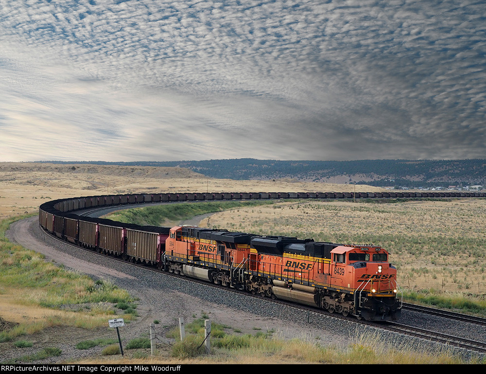 BNSF 8439